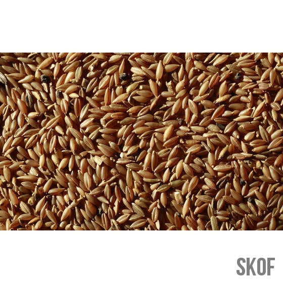 Bamboo Rice  - 100 % Organic - SK Organic Farms