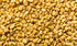 Venthayam - Fenugreek - Methi seeds