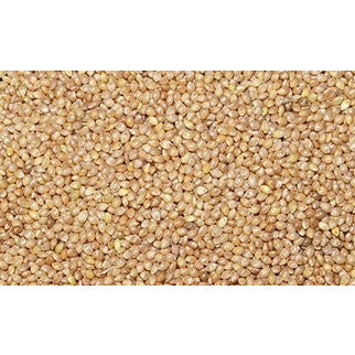 Kuthiraivaali Rice ( Barnyard millet ) - SK Organic Farms