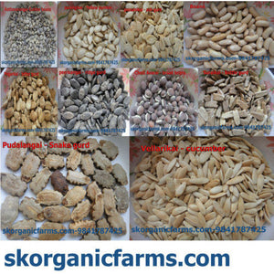 Organic Vegetable Seeds - Pack 1 - SK Organic Farms