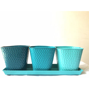 TABLE TOP TRAY WITH SET OF 3 PLANTERS - SK Organic Farms