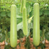 Bottle Gourd Long - SK Organic Farms