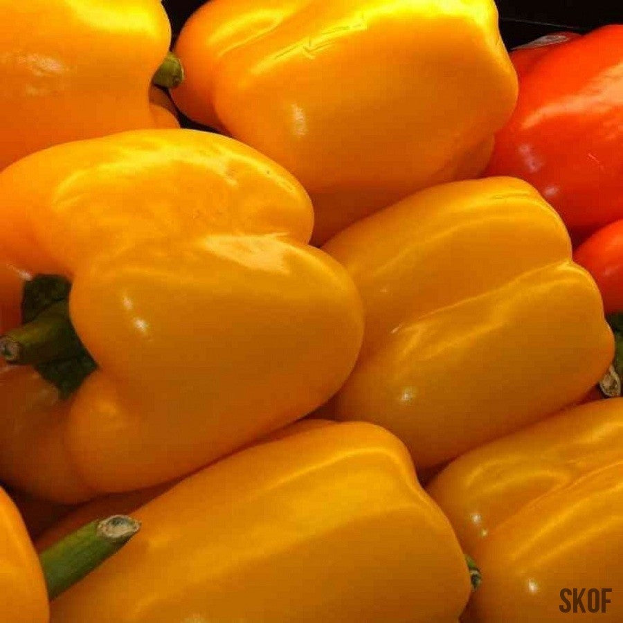 Capsicum Yellow - SK Organic Farms