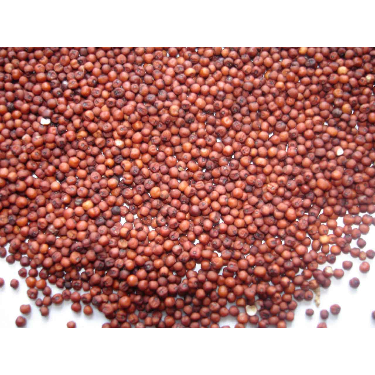 Ragi (Finger millet) - Flour - SK Organic Farms