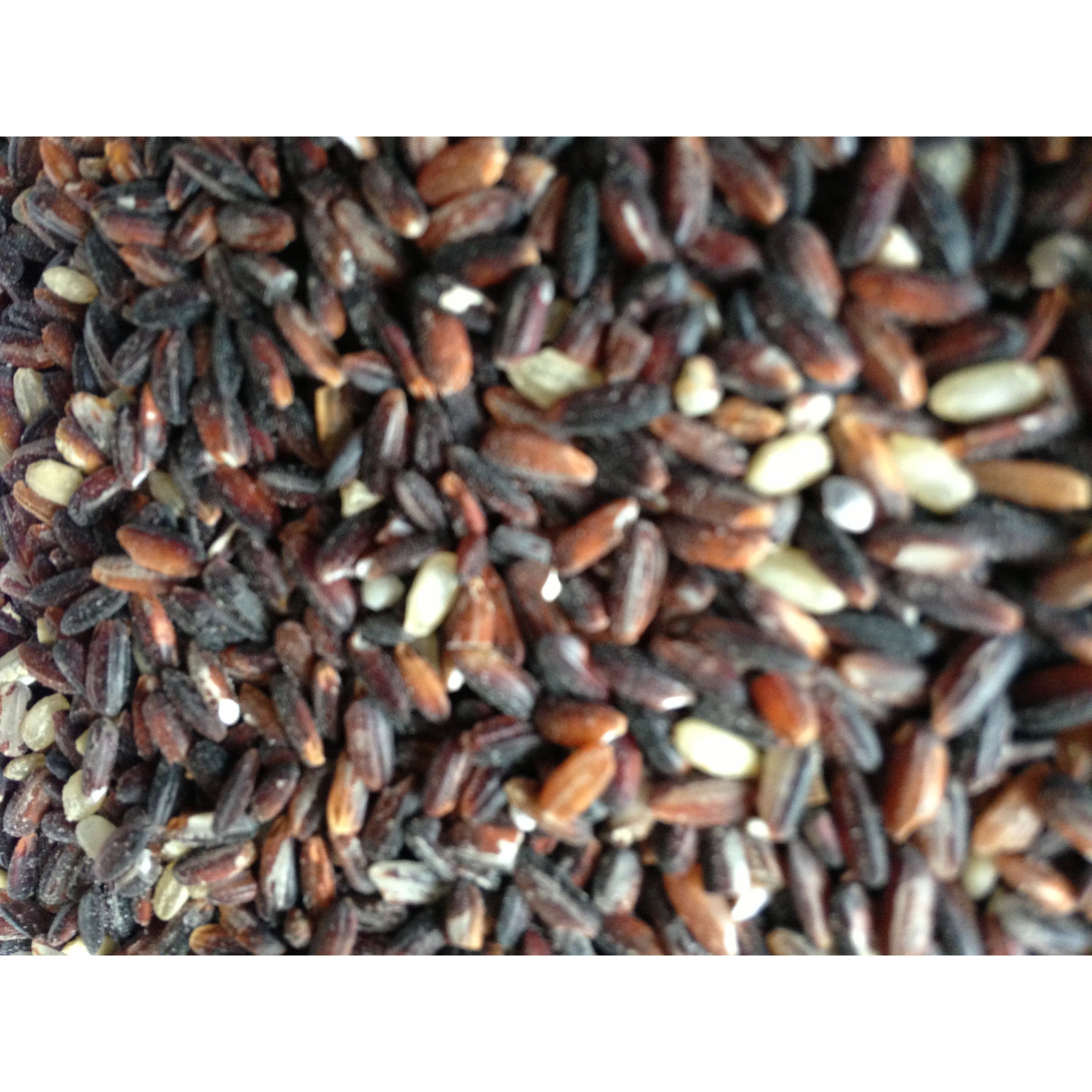 Native Rice - Kavuni - SK Organic Farms