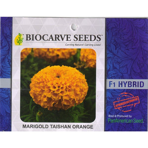 Marigold African Taishan - 20 seeds - SK Organic Farms