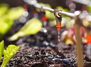 Watering & Irrigation