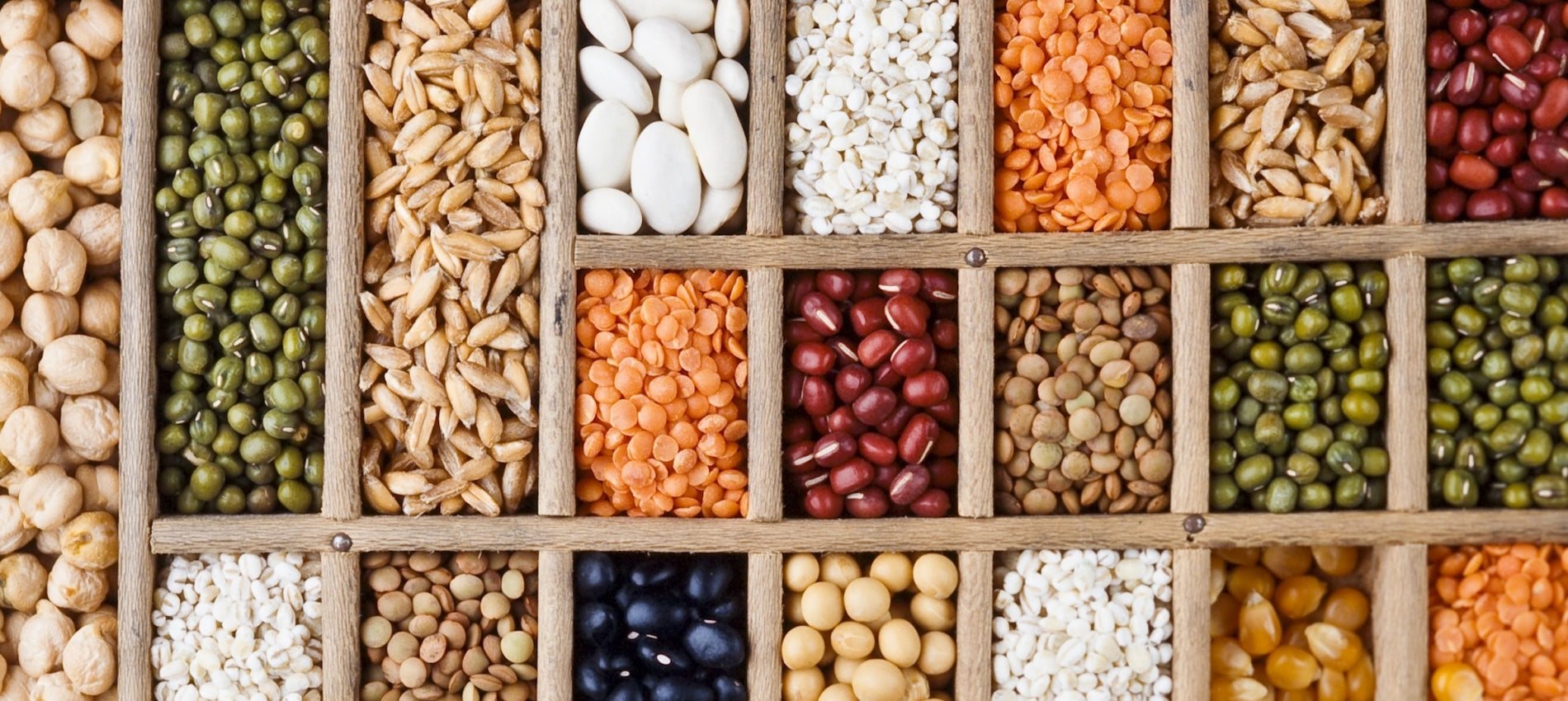 Organic Seeds