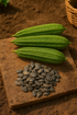 Ridge Gourd