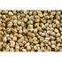 Kambu (Pearl millet) - SK Organic Farms