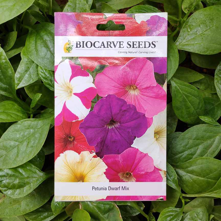 Petunia Dwarf Mix - Biocarve