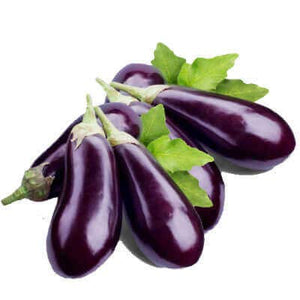 Brinjal Seeds - Country