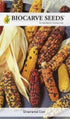 Ornamental corn Biocarve