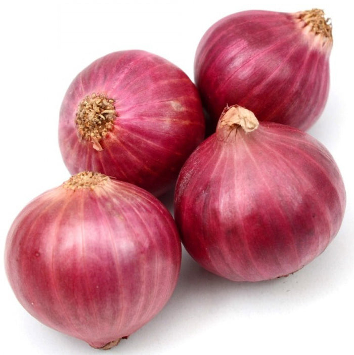 Onion Seeds