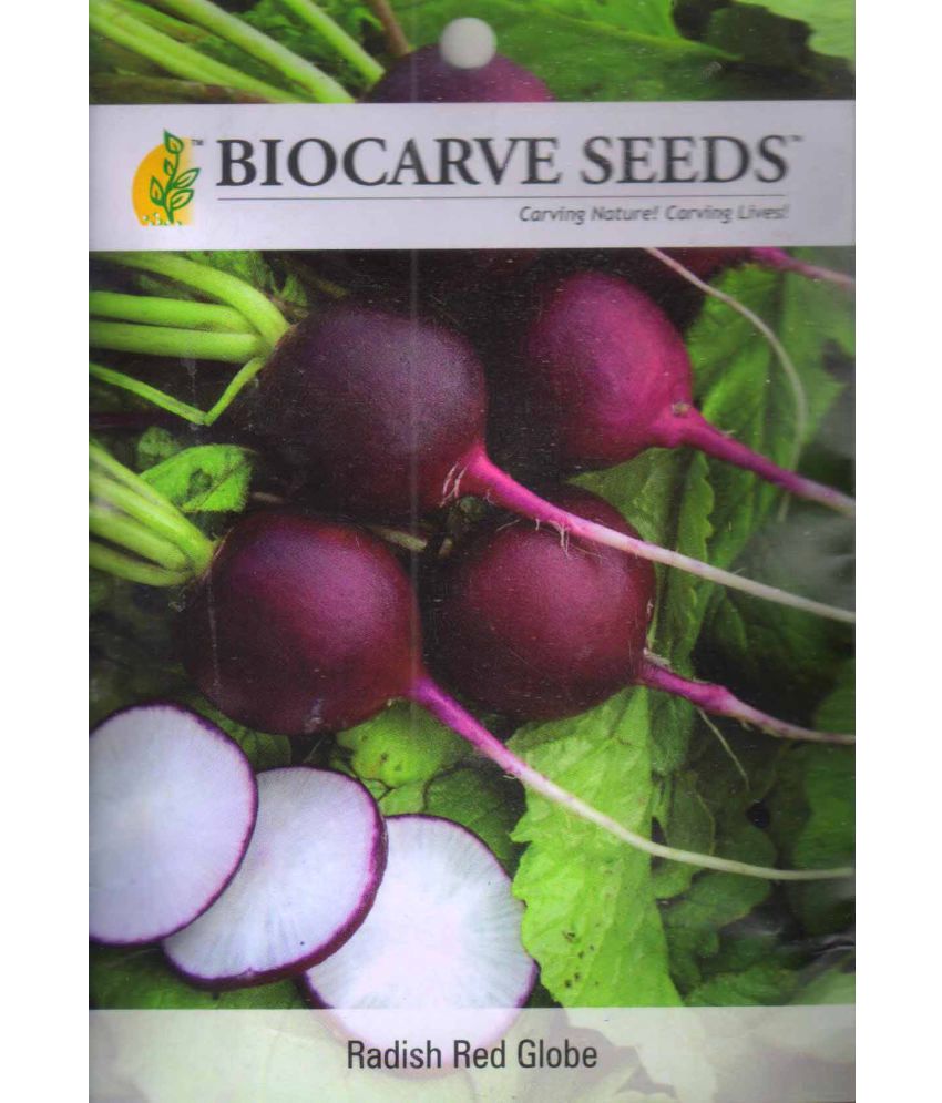Radish Red Globe -Biocarve