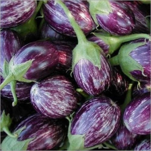 Brinjal Seeds - Country