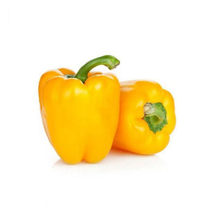 F1 Hybrid Capsicum (Yellow)