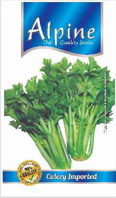 Celery Imported