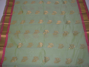 Handwoven Pista Green Silk cotton Saree with pink contrast border   - Thanjavur Silk - SK Organic Farms