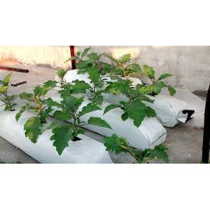 UV - Stabilized LDPE Hydroponic Grow Bag 100 x 20 x 10 Cm 400 Gsm- With Coco Peat Slab - SK Organic Farms