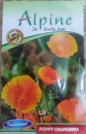 Poppy california. Alpine