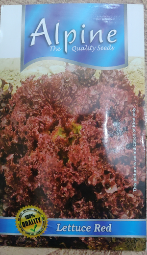 Lettuce Red.. Alpine