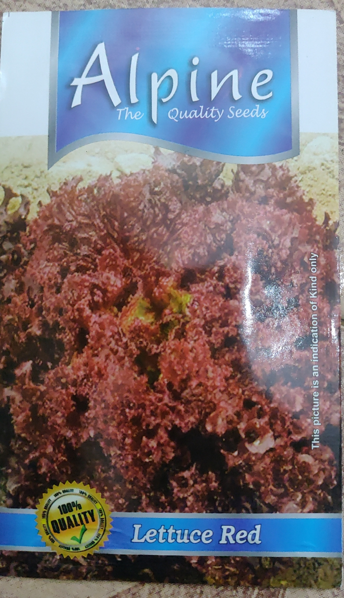 Lettuce Red.. Alpine
