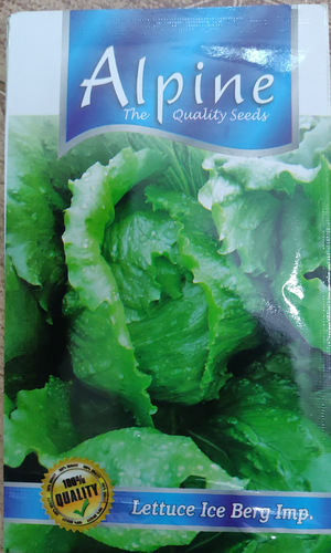 Lettuce lce berg lmp... Alpine