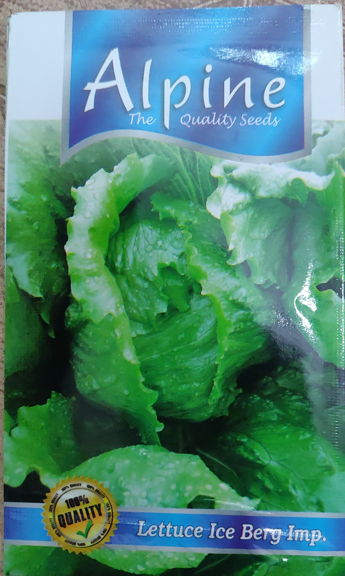 Lettuce lce berg lmp... Alpine