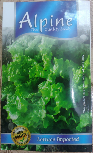 Lettuce imported... Alpine
