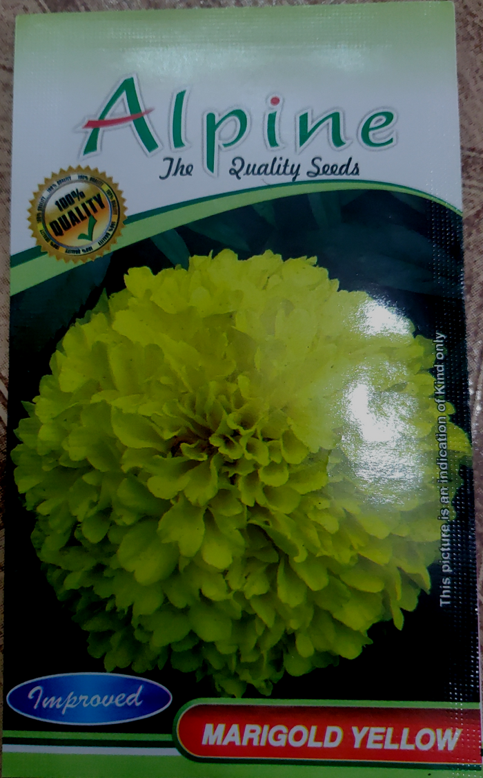 Marigold yellow... Alpine