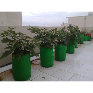 Veg Garden Ready - Combo Offers ( HDPE Grow Bag + Potting Soil + Plant) - SK Organic Farms