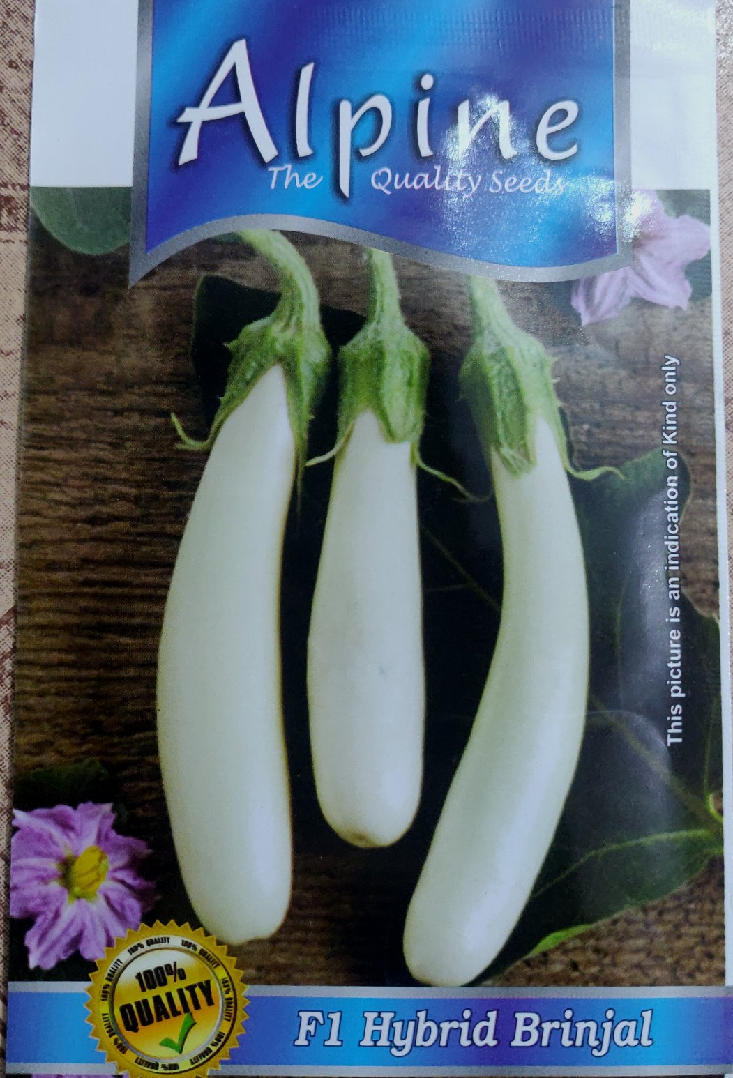 Brinjal White Long