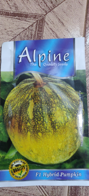 Pumpkin f1 ALPINE