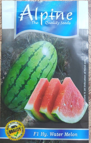 Water melon ALPINE