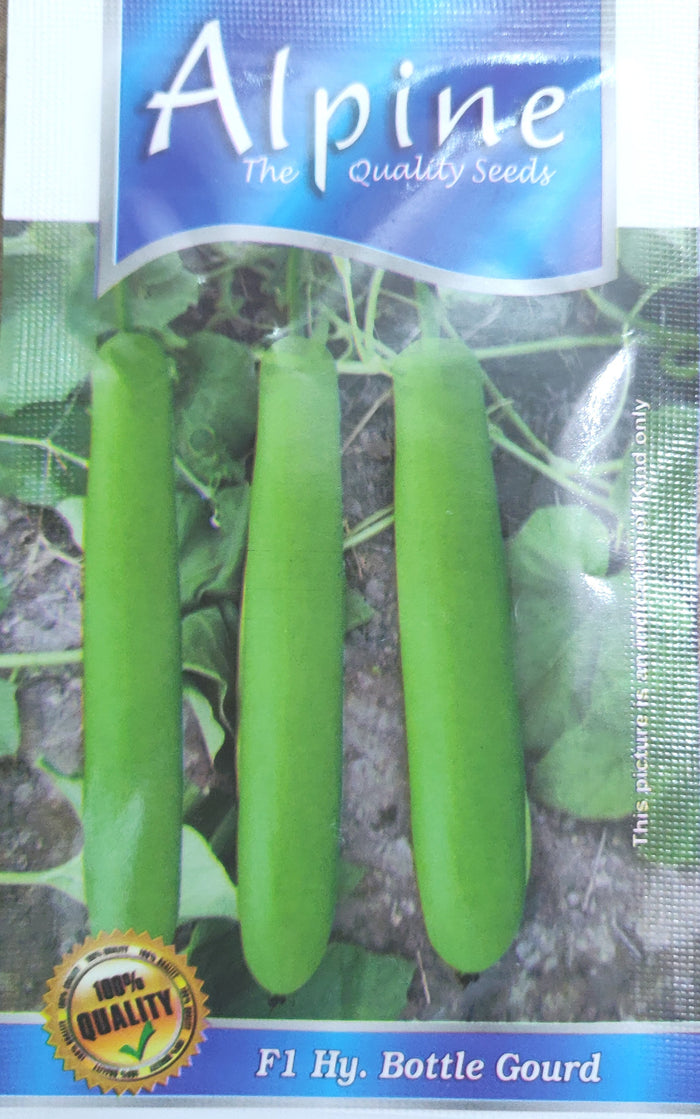 Bottle gourd long F1