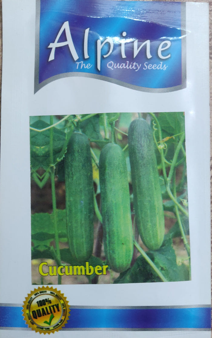 Cucumber ALPINE