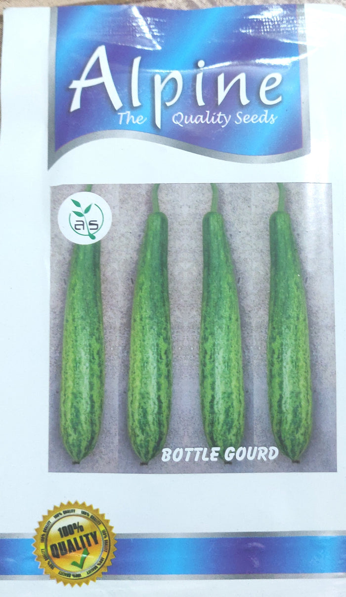 Bottle gourd  ALPINE