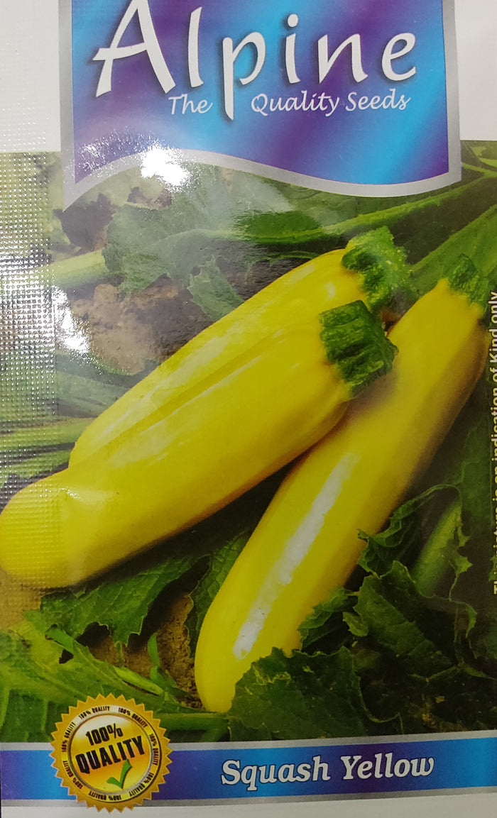 Squash yellow.. ALPINE