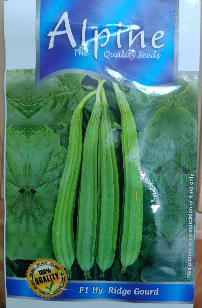 Ridge gourd long ALPINE