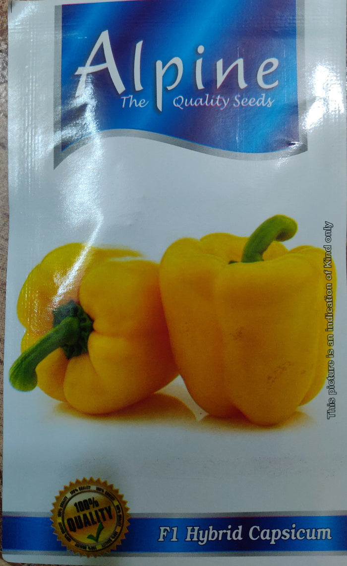 Capsicum Yellow