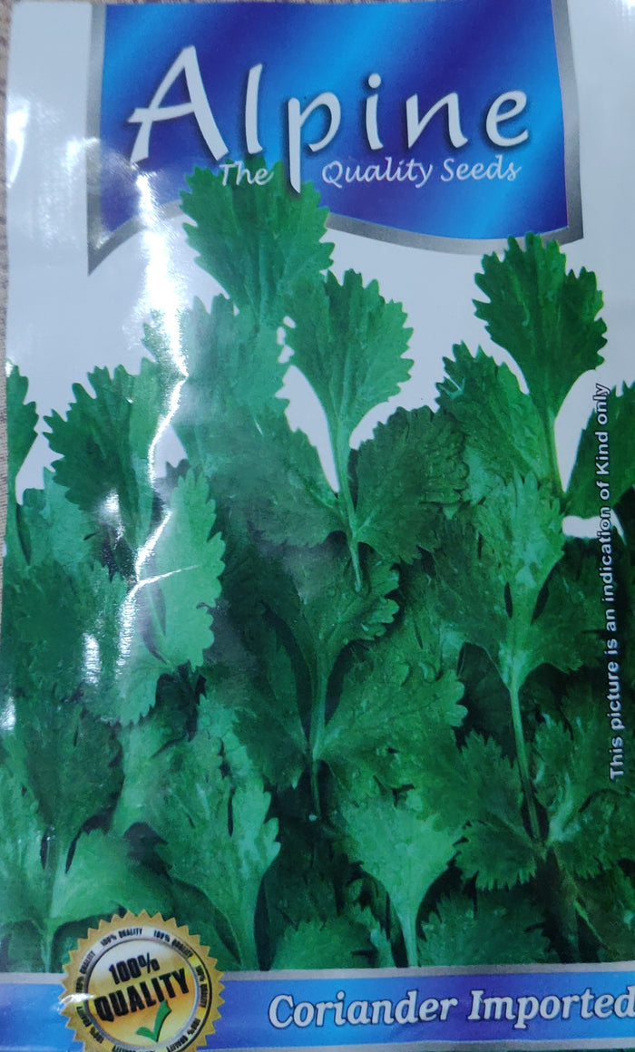 Coriander
