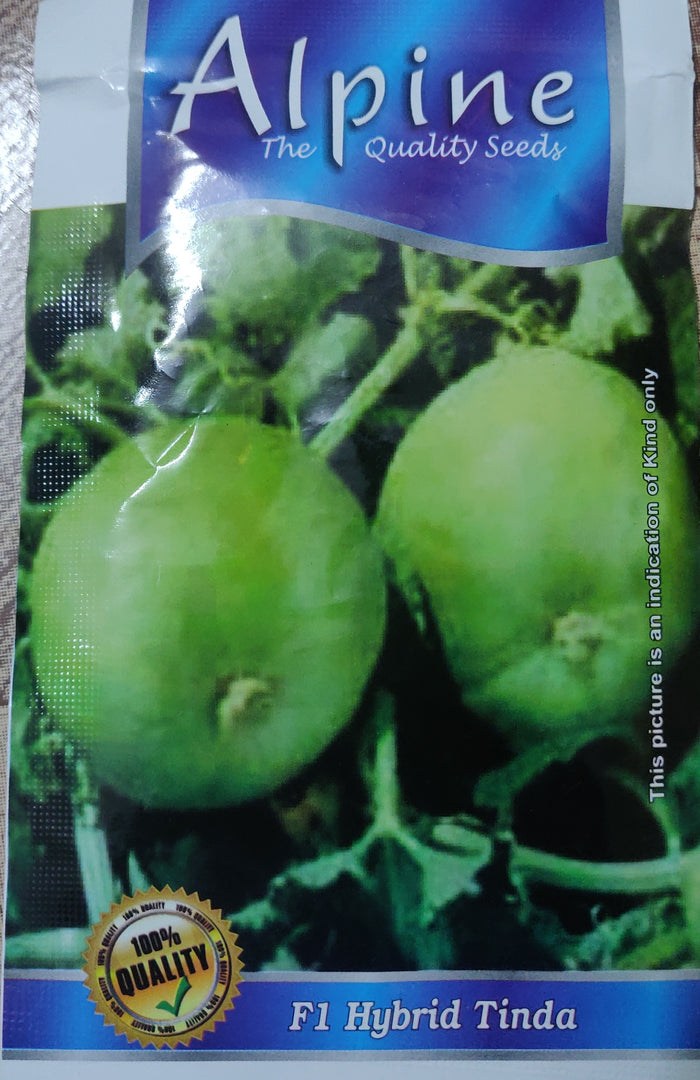 Tinda ALPINE