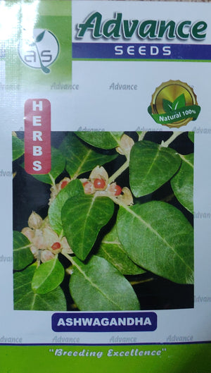 Ashwagandha APEX HERBS