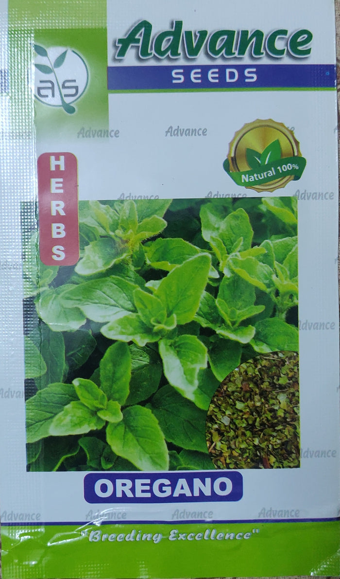 Oregano APEX HERBS