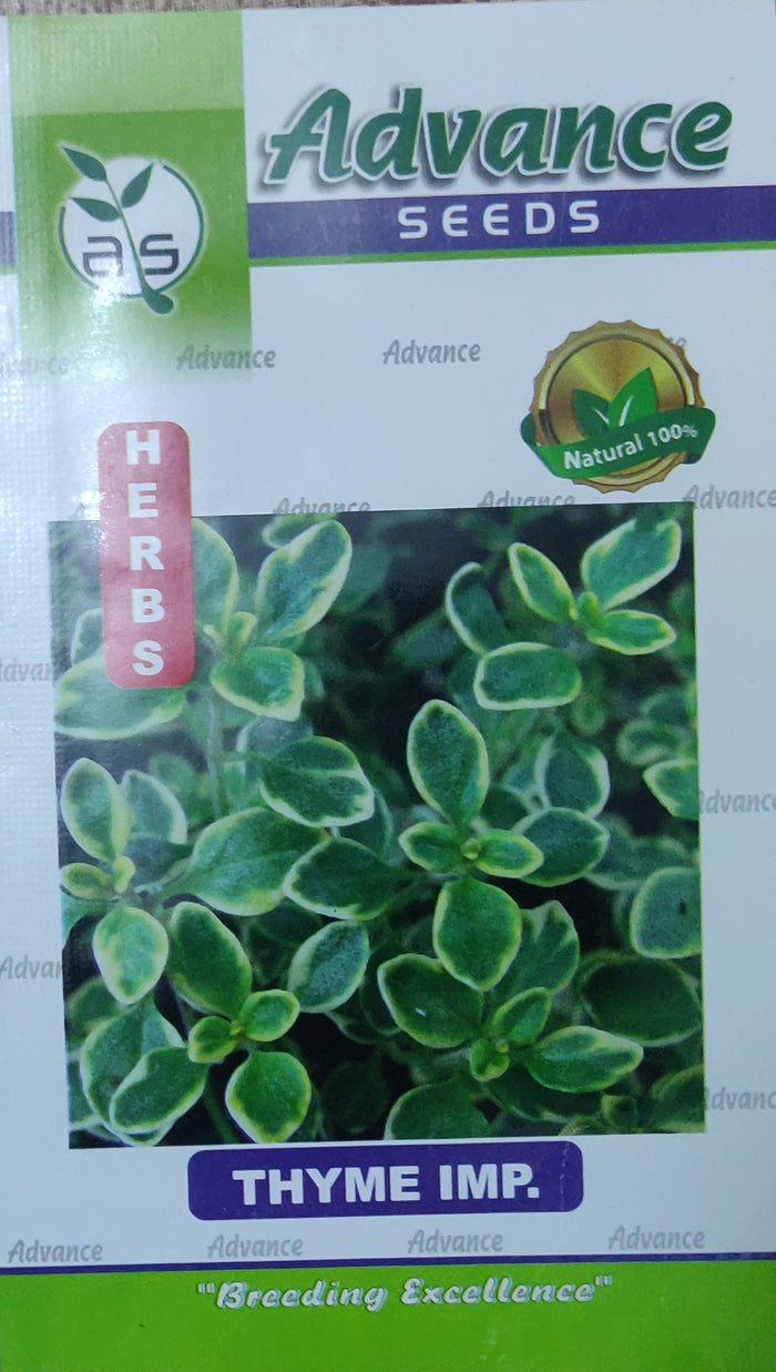 Thyme imp APEX HERBS