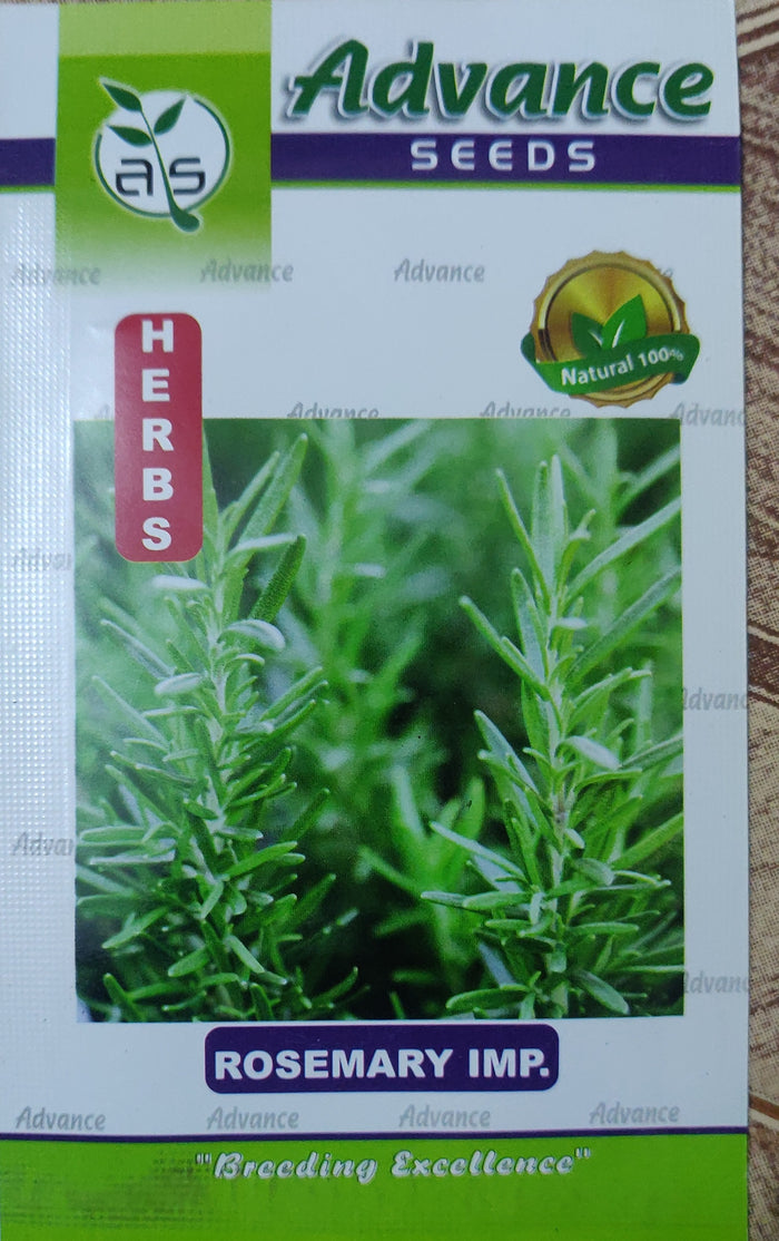 Rosemary imp APEX HERBS