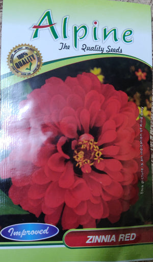 Zinnia red ALPINE