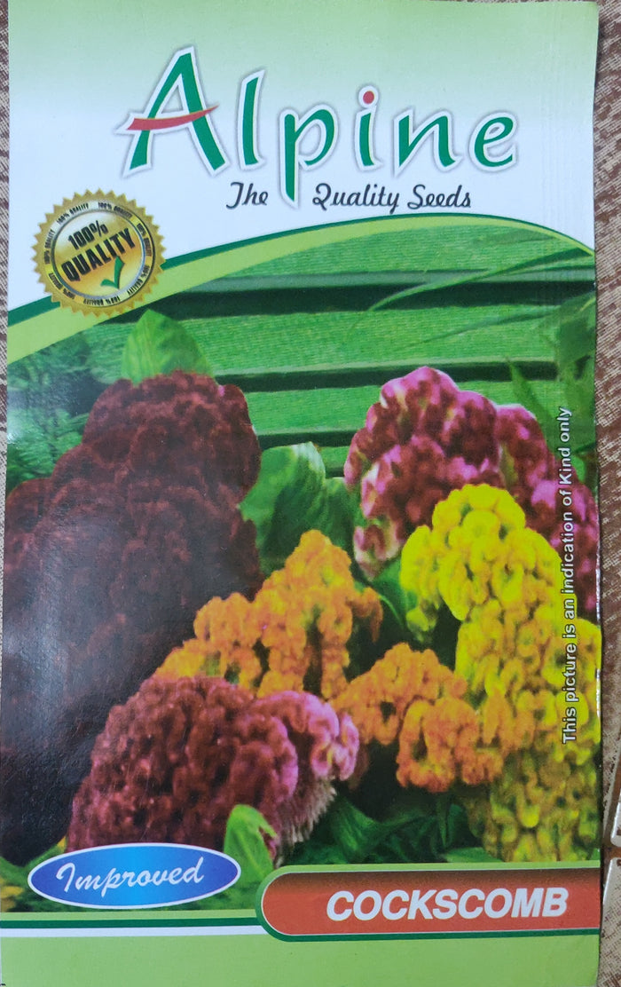 Cockscomb