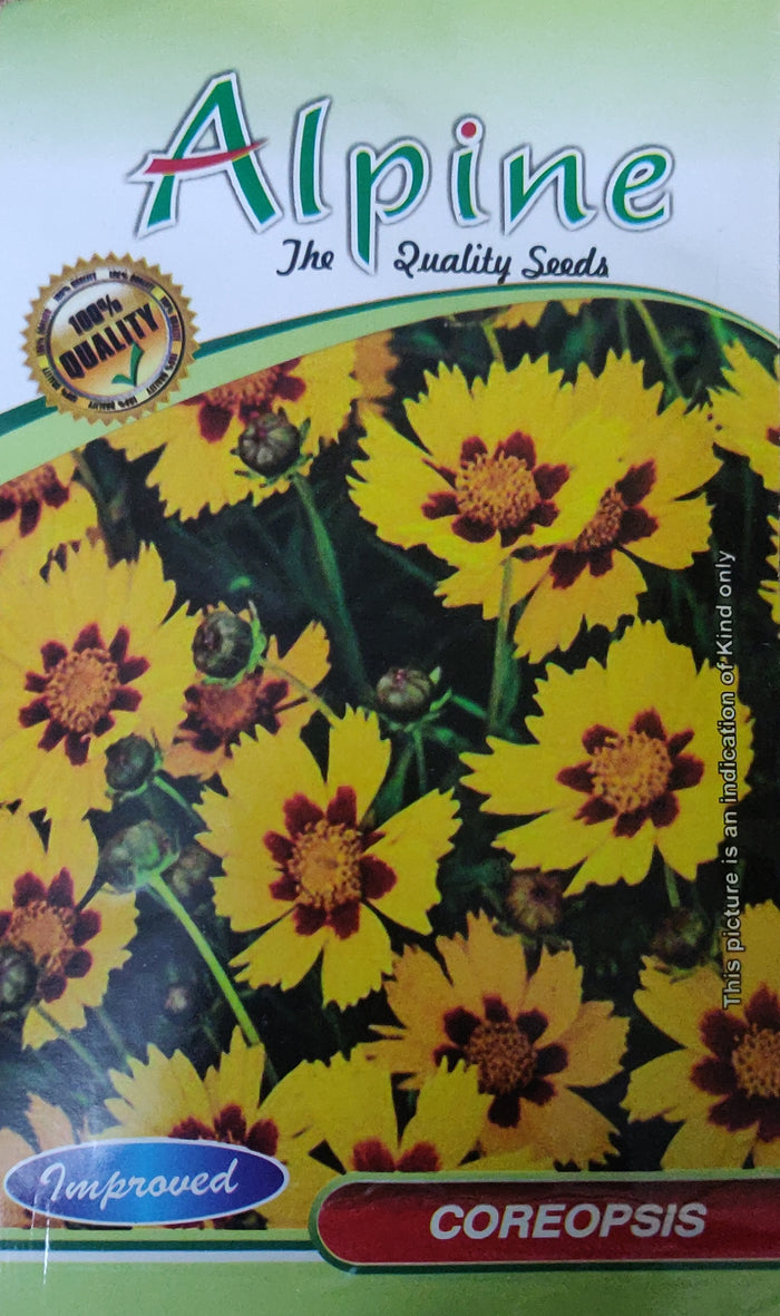 Coreopsis